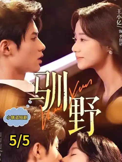 长夜将尽 高清电视剧全集免费在线观看
